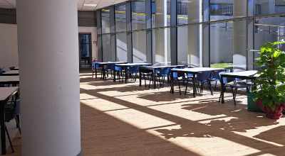 immagine decorativa